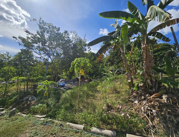 RUSH FOR SALE! Residential Lot in Timberland Heights, San Mateo, Rizal