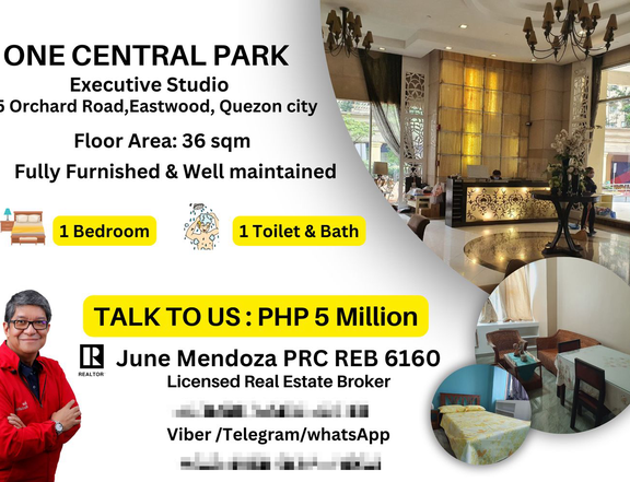 36.00 sqm Fully Furnished Executive Studio Condo For Sale in Eastwood