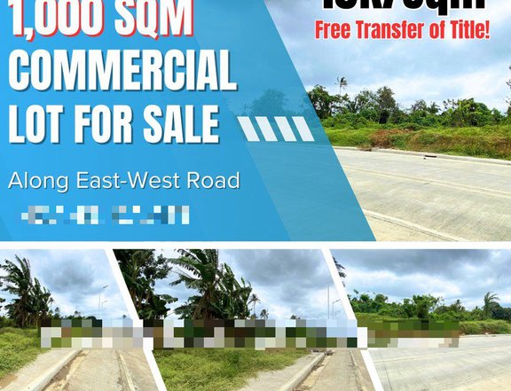 Installment 1,000 sqm up to Hectares Commercial/Reisdential Lot for Sale (Along Hway East West Rd)