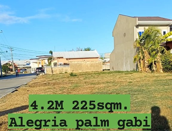 225 sqm inside high end subdivision Lot For Sale in Cordova Cebu