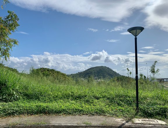 Prime Lot For Sale in Ayala Greenfield Estates