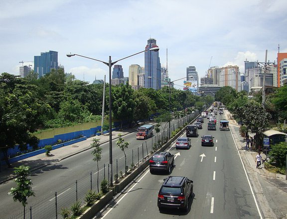 FOR SALE: 43258sqm Vacant Industrial Lot Ortigas Extension