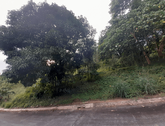 Foreclosed Lot for Sale in  Timberland Heights, San Mateo, Rizal
