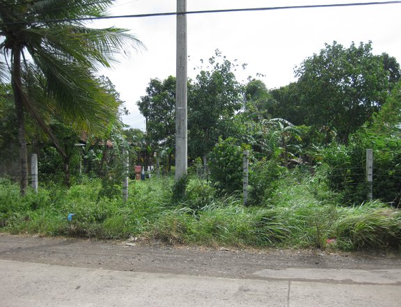 Paglaum  210 sqm Residential Lot For Sale in Brgy. Mansilingan Bacolod