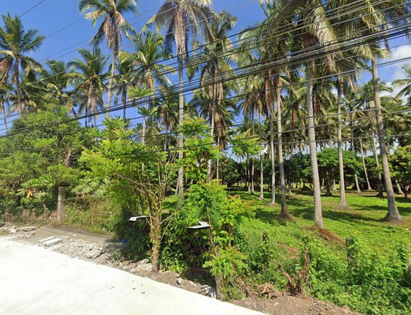 7,780 sqm Agricultural Farm For Rent in Pagsanjan Laguna