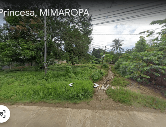 2500 sqm Commercial Lot located in Bgy San jose Puerto Princesa City