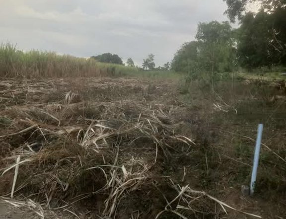 1,313 sqm Residential Farm For Sale in Tuy Batangas