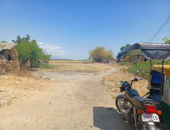 Residential Lot for Sale in Villasis, Pangasinan