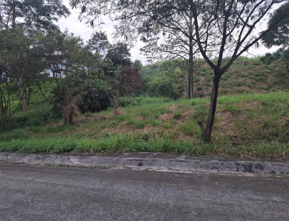 778 sqm Residential Vacant Lot For Sale in ParkRidge Antipolo Rizal