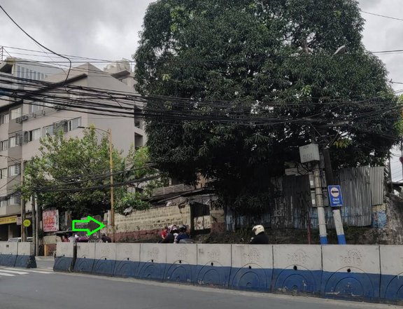 Property for Sale along Pasig Blvd Arayat St beside Rizal Medical Ctr