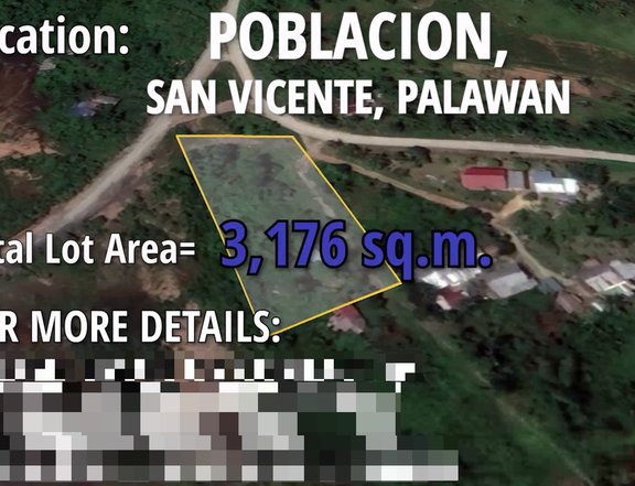 RESIDENTIAL LOT FOR SALE, 5 minutes away from San Vicente, Palawan Airport