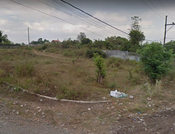 Residential Lots for Sale in Bagumbong North Caloocan City