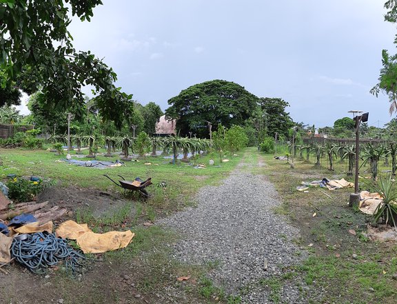 5,972 sqm Residential Farm For Sale in Malolos Bulacan