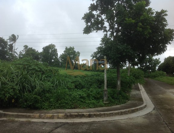 LOT FOR SALE IN RIDGEWOOD HEIGHTS TAGAYTAY