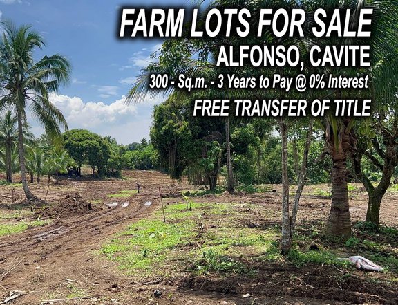 Residential Farm in Alfonso Cavite
