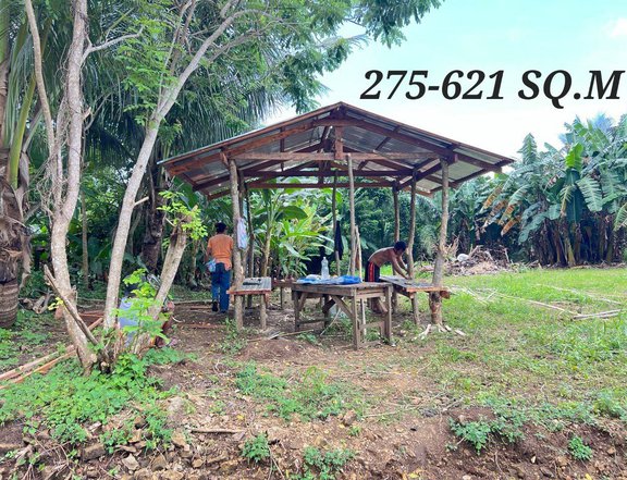 TITLED  & INSTALLMENT GATED FARM LOT NEAR CRISANTO ROAD IN AMADEO