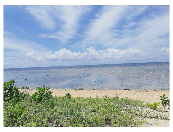 3,772 sqm Beachlot Property For Sale in Dasol Pangasinan