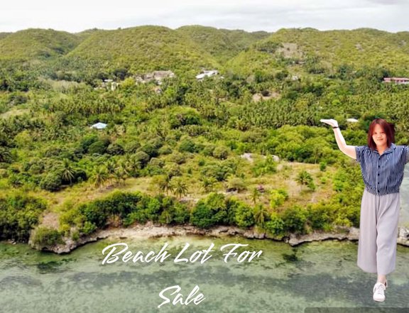 80 sqm Beach Property For Sale in Tabogon Cebu