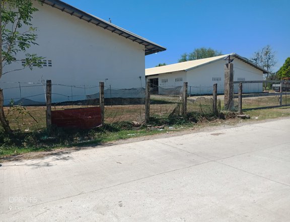 3.6 hectares Agro-Industrial Farm For Sale in Cuyapo Nueva Ecija