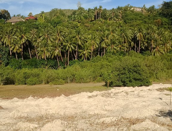 Loon Bohol Philippines Beach Lot for sale