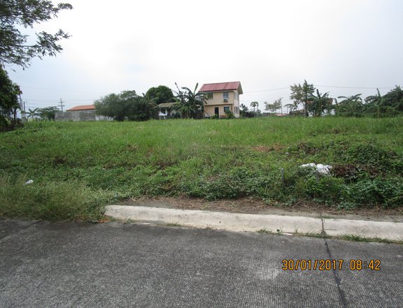 165 sqm Residential Lot For Sale in General Trias Cavite