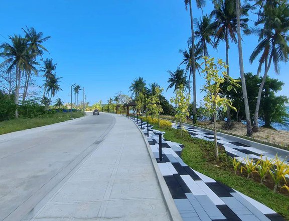 : 706 sqm Residential Beach Lot in Playa Laiya San Juan Batangas near Solmera Coast