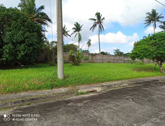 One (1) Perimeter Residential lot for sale in South Midland