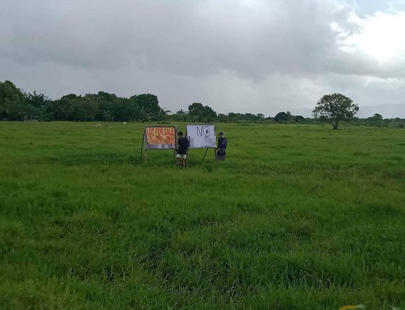 Lot for sale in sta cruz laguna
