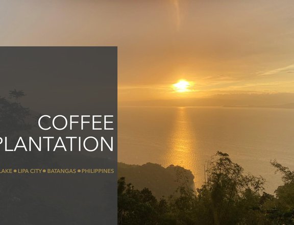 Coffee Farm For Sale with View of and Access to Taal Lake