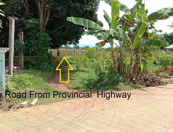 1.4 hectares Beach Property For Sale