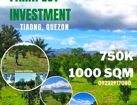 LOT FOR SALE 1,000sqm for only Php 750K With FRUIT BEARING TREES