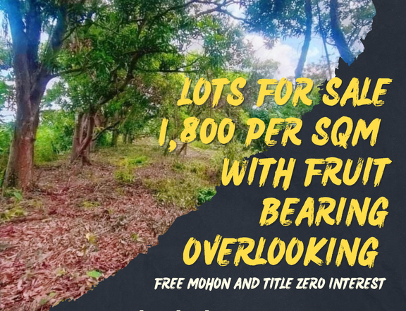 Lots for sale with fruit bearings and overlooking