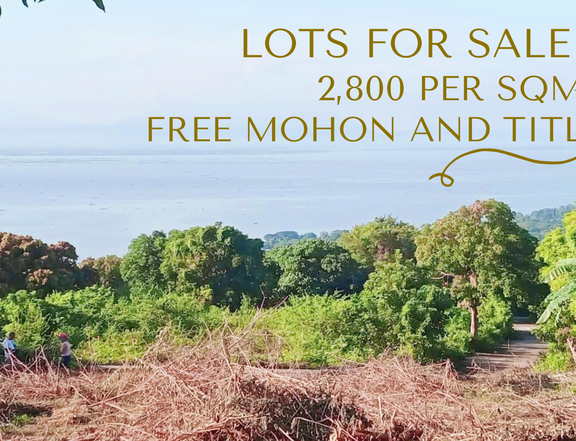 Affordable Lots for sale free mohon and title