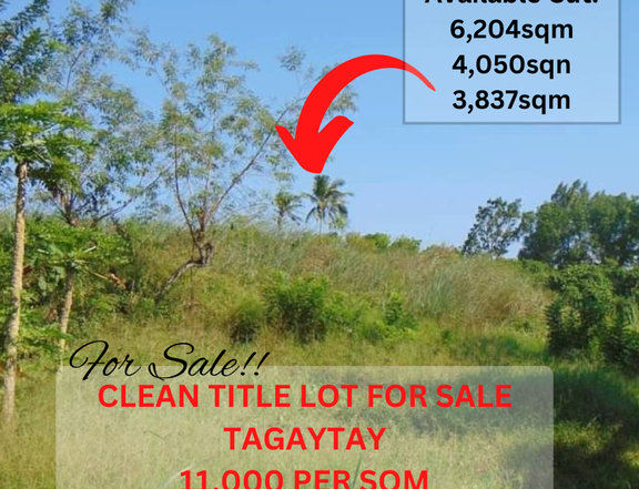 COMMERCIAL LOT For Sale in Tagaytay Cavite