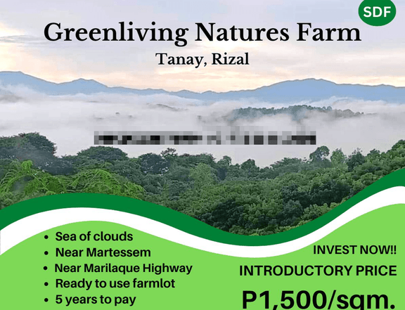 Overlooking Farm Lot For Sale in Tanay Rizal - Installment