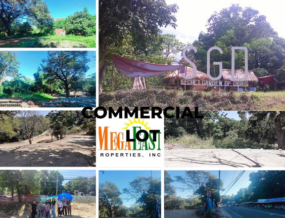 Commercial Lot @ SGD Antipolo