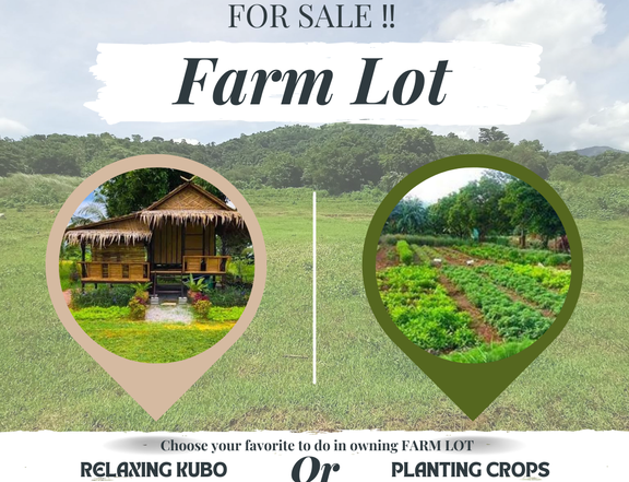 1,500 sqm Agricultural Farm For Sale in Subic Zambales