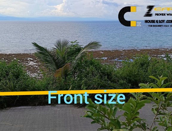 300 sqm Beach property For Sale in Dumanjug Cebu