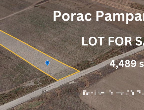 Lot for Commercial, Residential, Industrial in Porac Pampanga for sale