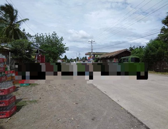 800 sqm Commercial Lot For Sale in Alabel Sarangani