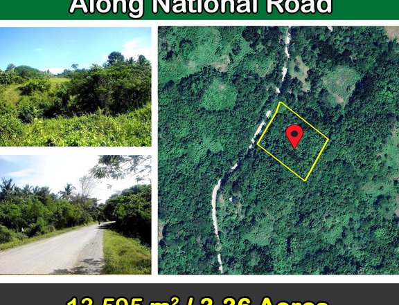 13,595 sqm Superior leisure farm along National Road