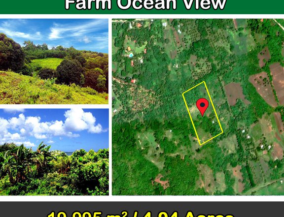 19,995 sqm Very attractive leisure farm ocean view