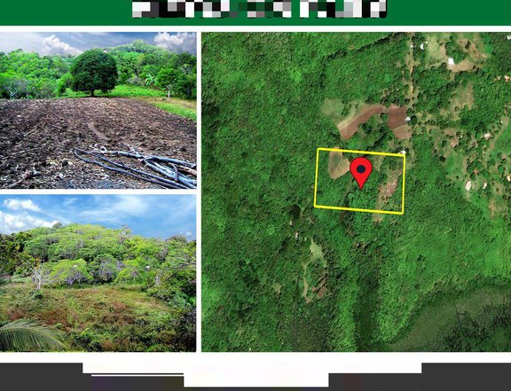 20,004 m2 Stunning tropical ocean views on farm