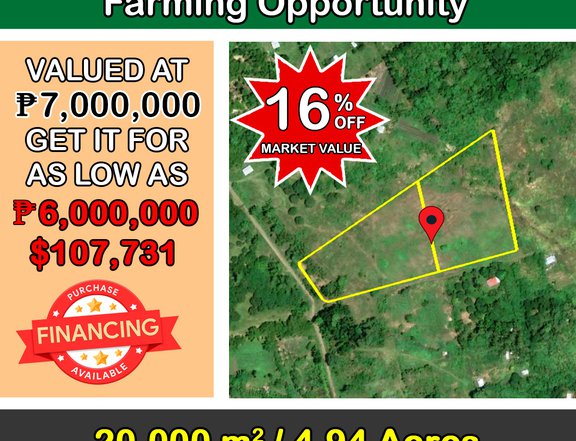 20,000 sqm Homestead Farming Land Opportunity in Puerto Princesa