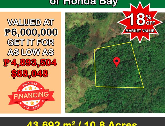 43,692 m2 / 10.8 Acres Overlooking views of Honda Bay