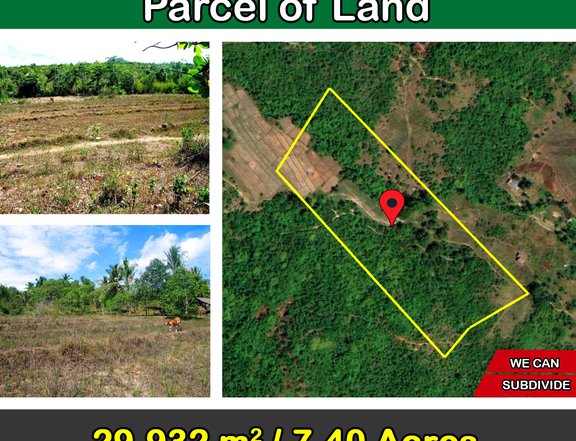 29,932 m2 / 7.40 Acres  Homestead Parcel of Land in Puerto Princesa