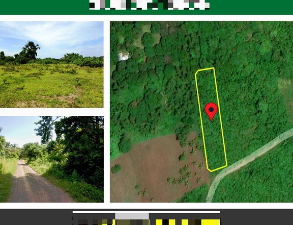 2,088 m2 Agri-lots Subdivision with Commercial Potential near Beach