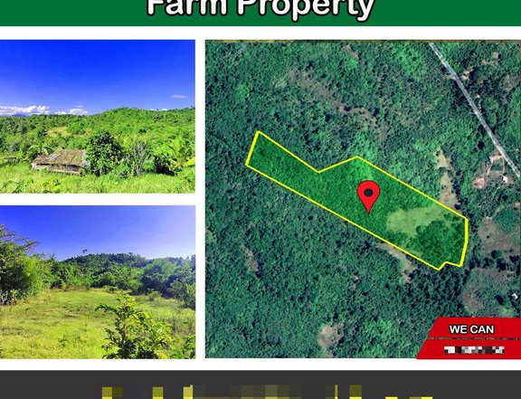 32,912 m2 / 8.13 Acres High Potential Homestead Farm Property