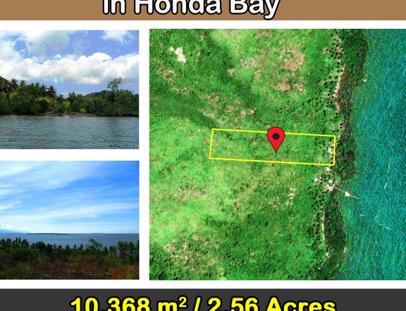 10,368 m2 / 2.56 Acres Distinctive Seafront Property in Honda Bay