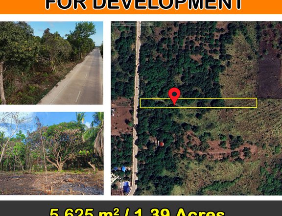 5,625 m2 / 1.39 Acres Residential Lot Ready for Development